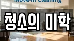 청소의 미학
