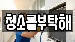 청소를부탁해