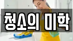 청소의 미학