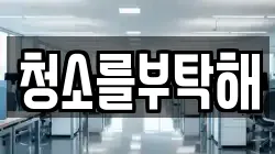 청소를부탁해