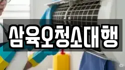 삼육오청소대행