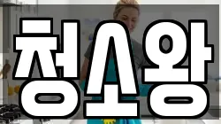 청소왕