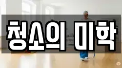 청소의 미학
