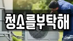 청소를부탁해