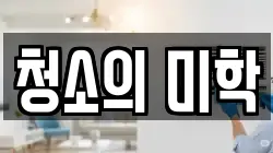 청소의 미학