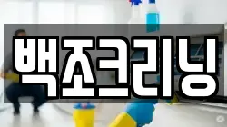 백조크리닝