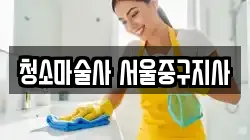 청소마술사 서울중구지사