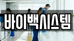 바이백시스템