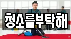 청소를부탁해