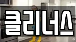 클리너스