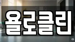욜로클린