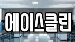 에이스클린