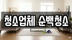 청소업체 순백청소