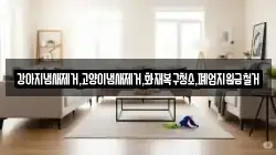 강아지냄새제거,고양이냄새제거,화재복구청소,폐업지원금철거