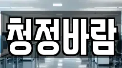 청정바람