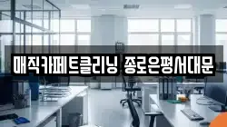 매직카페트클리닝 종로은평서대문