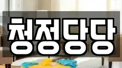 청정당당