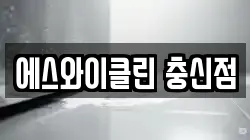 에스와이클린 충신점