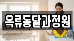 서울 종로구 효자동 청소,입주청소,사무실청소,에어컨청소,특수청소,상가청소,거주청소,유품정리