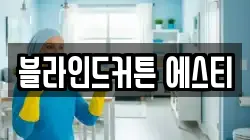 블라인드커튼 에스티