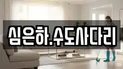 심은하.수도사다리