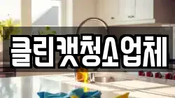 클린캣청소업체