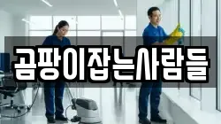 서울 중구 초동 청소,입주청소,사무실청소,에어컨청소,특수청소,상가청소,거주청소,유품정리
