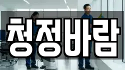 청정바람