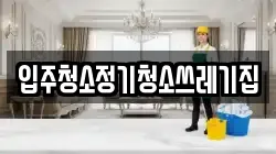 입주청소정기청소쓰레기집