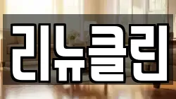 리뉴클린
