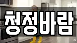 청정바람