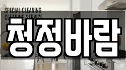 청정바람