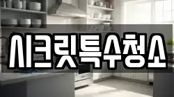 시크릿특수청소