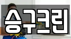 승구크린