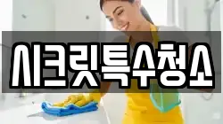 시크릿특수청소