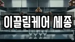 이끌림케어 세종