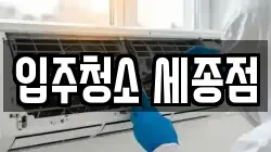 입주청소 세종점