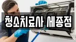 청소치료사 세종점