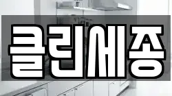 클린세종