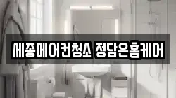 세종특별자치시 다정동 청소,입주청소,사무실청소,에어컨청소,특수청소,상가청소,거주청소,유품정리