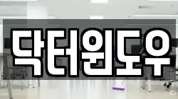 닥터윈도우
