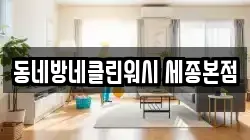 동네방네클린워시 세종본점