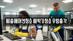 세종에어컨청소 세탁기청소 우렁총각