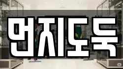 먼지도둑