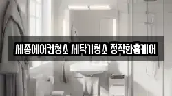 세종에어컨청소 세탁기청소 정직한홈케어