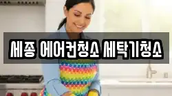 세종 에어컨청소 세탁기청소