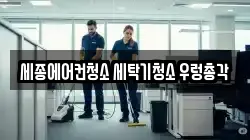세종특별자치시 청소,입주청소,사무실청소,에어컨청소,특수청소,상가청소,거주청소,유품정리