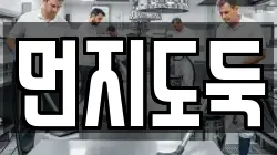 먼지도둑