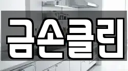 금손클린