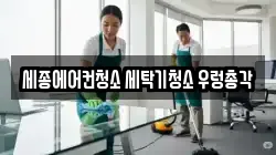 세종에어컨청소 세탁기청소 우렁총각